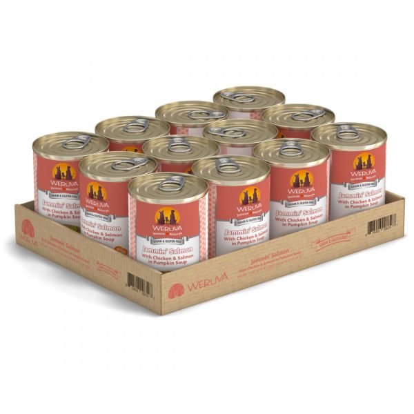 Weruva Jammin Salmon with Chicken & Salmon in Pumpkin Soup Canned Dog Food For Discount