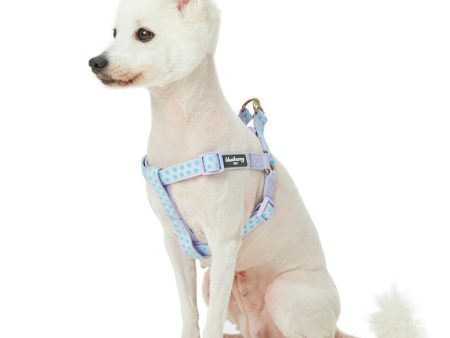 Blueberry Pet Step-in Velvety Polka Dot Flocking Dog Harness in Pastel Purple Sale