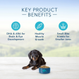 Blue Buffalo Life Protection Formula Small Breed Puppy Chicken & Oatmeal Recipe Dry Dog Food Discount