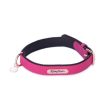 ZippyPaws Vivid Collection Magenta Dog Collar For Cheap