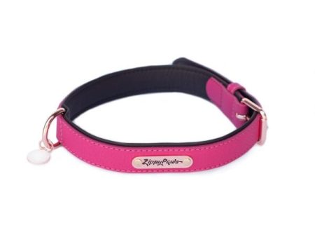 ZippyPaws Vivid Collection Magenta Dog Collar For Cheap