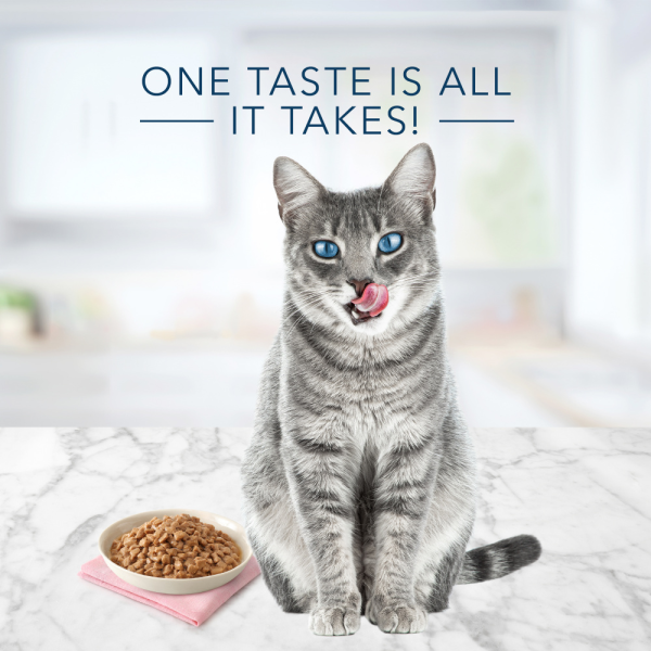 Blue Buffalo Tastefuls Adult Tender Morsels Chicken Entree in Savory Sauce Wet Cat Food Online Sale