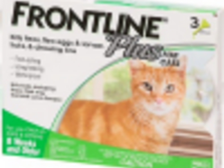 Frontline Plus for Cats Online