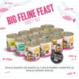 Weruva BFF Grain Free Big Feline Feast Canned Cat Food Variety Pack Cheap