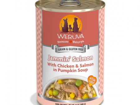 Weruva Jammin Salmon with Chicken & Salmon in Pumpkin Soup Canned Dog Food For Discount