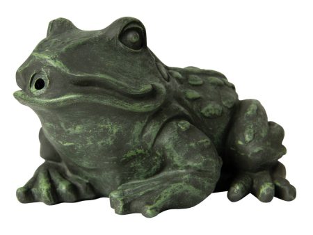 Tetra Pond Spitter Aerator & Aquarium Frog Decoration Online