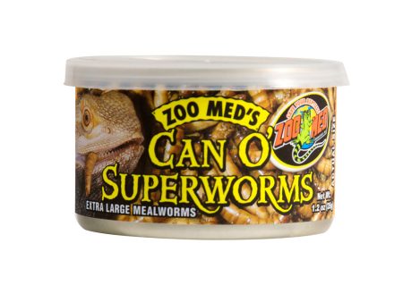 Zoo Med Can O  Superworms For Cheap