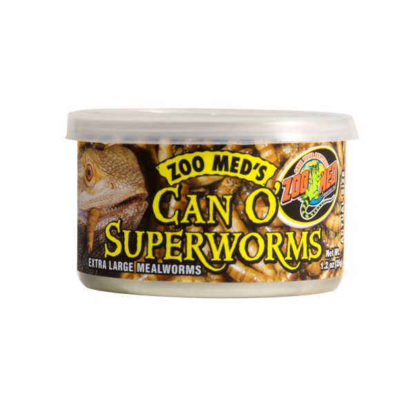 Zoo Med Can O  Superworms For Cheap