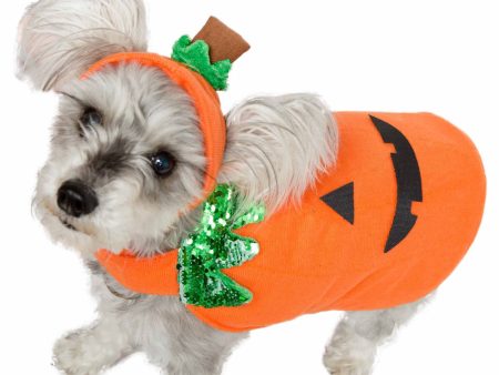 Pet Krewe Pumpkin Dog and Cat Costume For Cheap