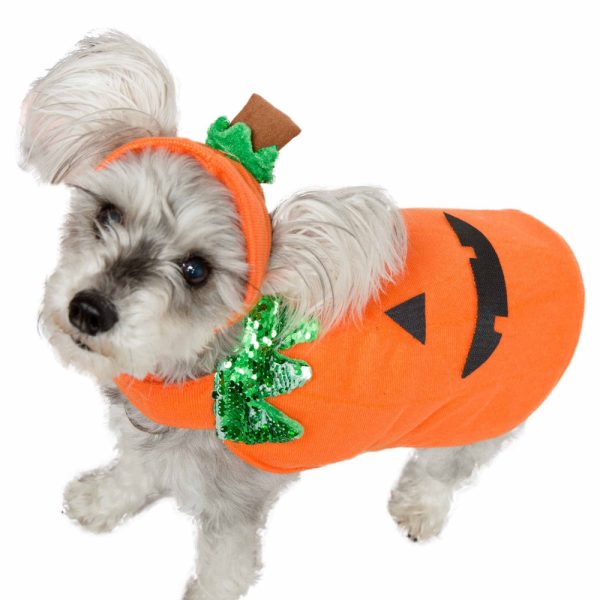 Pet Krewe Pumpkin Dog and Cat Costume For Cheap