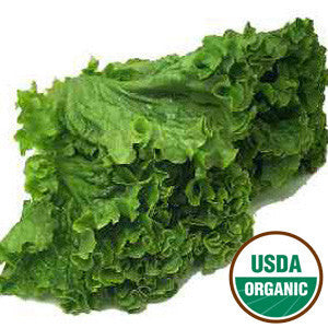 ORGANIC GREEN LEAF LETTUCE Online now