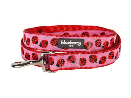 Blueberry Pet Durable Pink Webbing Ladybug Designer Dog Leash Online