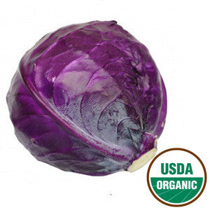 ORGANIC RED CABBAGE FROM USA Hot on Sale