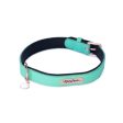 ZippyPaws Vivid Collection Teal Dog Collar Online Hot Sale