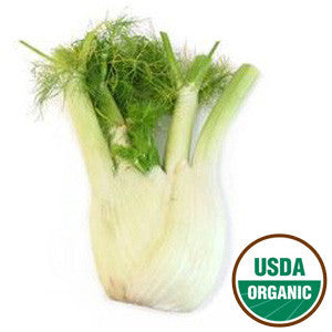 FENNEL ORGANIC FROM USA Discount