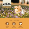 ACANA Highest Protein Meadowlands Dry Cat Food Online Hot Sale