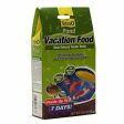 Tetra Pond Vacation Food Slow Release Feeder Block Fish Food Fashion