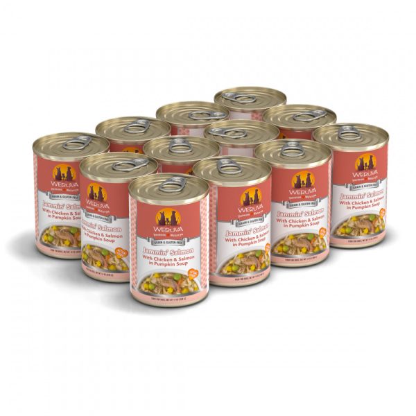 Weruva Jammin Salmon with Chicken & Salmon in Pumpkin Soup Canned Dog Food For Discount