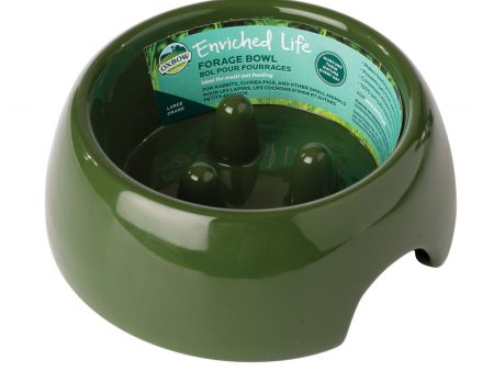 Oxbow Animal Health Enriched Life Forage Bowl Discount