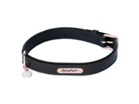 ZippyPaws Legacy Collection Black Dog Collar Online now