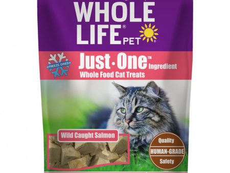 Whole Life Pet Just One Ingredient Freeze Dried Wild Salmon Treats for Cats Hot on Sale