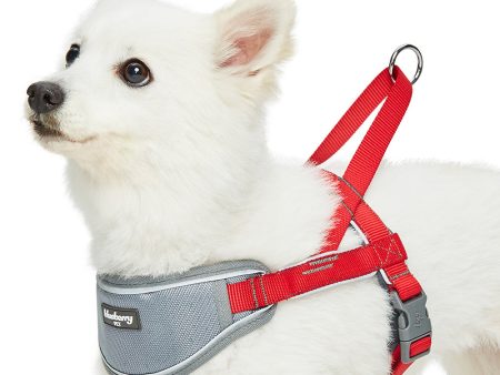 Blueberry Soft & Comfy 3M Reflective Strips Padded Red Dog Harness Hot on Sale