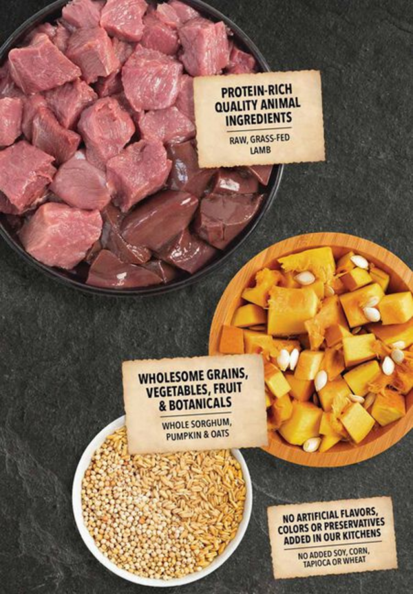 ACANA Wholesome Grains, Lamb & Pumpkin Recipe, Limited Ingredient Diet Dry Dog Food Online Sale