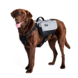 ZippyPaws Adventure Gear Graphite Backpack For Dogs Online Hot Sale