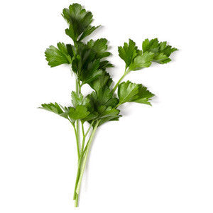 ITALIAN PARSLEY FROM USA Discount