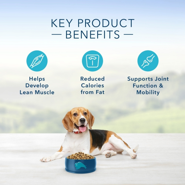 Blue Buffalo Life Protection Formula Healthy Weight Adult Chicken & Brown Rice Recipe Dry Dog Food For Discount