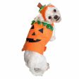 Pet Krewe Pumpkin Dog and Cat Costume For Cheap