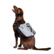 ZippyPaws Adventure Gear Graphite Backpack For Dogs Online Hot Sale