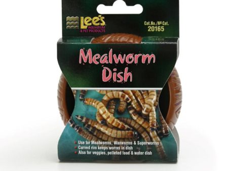 Lee s Mealworm Dish Fashion