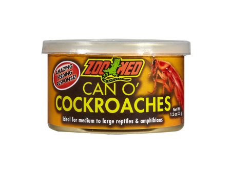 Zoo Med Can O  Cockroaches Hot on Sale