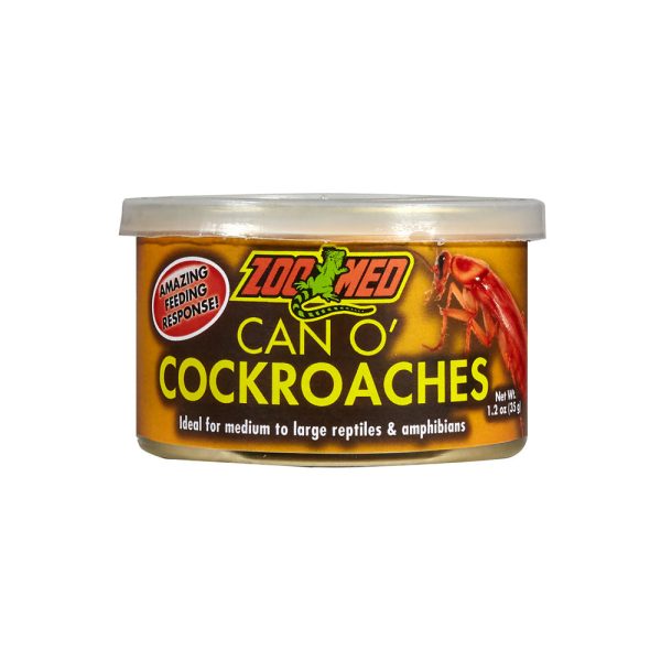 Zoo Med Can O  Cockroaches Hot on Sale