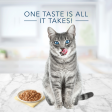 Blue Buffalo Tastefuls Natural Flaked Tuna Entree in Gravy Wet Cat Food Hot on Sale