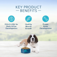 Blue Buffalo Life Protection Formula Large Breed Puppy Chicken & Brown Rice Recipe Dry Dog Food Online now